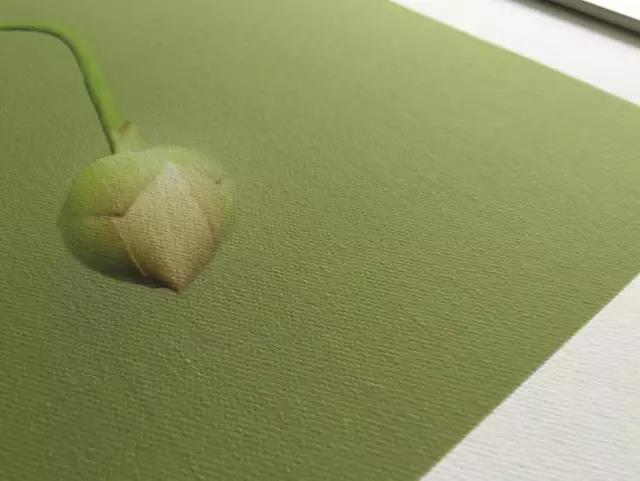 油畫(huà)布照片10
